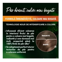 Garnier Color Naturals Vopsea de par 6 Blond Mediu Natural - thumbs image 3