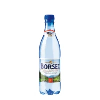 Borsec Apa minerala carbogazoasa 0,5l