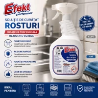 Efekt Solutia de curatat Rosturi 1 l - thumbs image 2