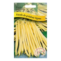 Seminte Fasole Sigma galbene creion Maxi 20gr