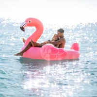 Pluta gonflabila Flamingo cu manere, 203×196×124 cm, max. 200 kg, Intex (57288) - thumbs image 3