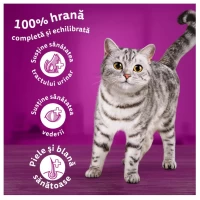 Whiskas Сухой корм для кошек стерильный 1,4 кг - thumbs image 2