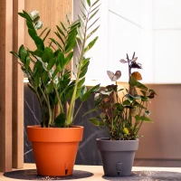 Ghiveci Latina 9,1 L Nisip - thumbs image 3