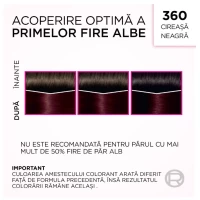 Casting Creme Gloss Краска для волос 360 Ceris - thumbs image 6