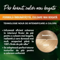 Garnier Color Naturals Vopsea de par 10 Blond Ultra Deschis Natural - thumbs image 3