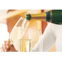 Вино игристое Cricova белое demisec Молдова 0,75 л - thumbs image 2