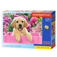 Castorland Пазл 300 элементов - thumbs image 2