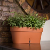 Latina Балконный Ящик 6,7л Антрацит - thumbs image 2