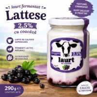 Йогурт ферментированный Lattese 2,5% Смородина 290 гр - thumbs image 2