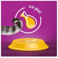 Whiskas Сухой корм для кошек стерильный 1,4 кг - thumbs image 3