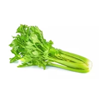 Telina tulpina, kg - thumbs image 2
