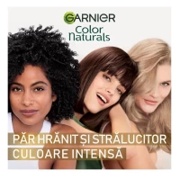 Garnier Color Naturals Vopsea de par 1.10 Negru Rece - thumbs image 6