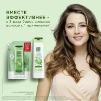 Cistaia Linia Sampon pentru par 500 ml Urzica rezerva - thumbs image 4