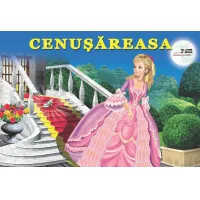 Cartea Carton Cenusareasa