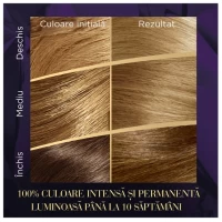 Wella Color Perfect Vopsea Blond Cenusiu Deschis 8/1 - thumbs image 4