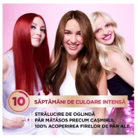 Garnier Color Sensation Vopsea de par 1.0 Negru Onix - thumbs image 4