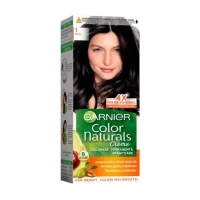 Garnier Color Naturals Vopsea de par 1 Negru