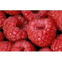 BerryMania Pastilata zmeura, gutui si mar 90gr - thumbs image 3