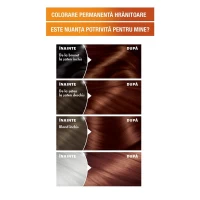 Garnier Color Naturals Vopsea de par 4.5 Saten Mahon - thumbs image 3