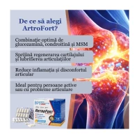 BP Protectie de articulatie ArtroFort 120cap - thumbs image 4