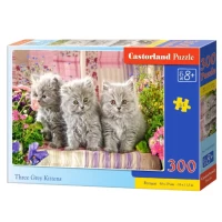 Castorland Пазл 300 элементов - thumbs image 4