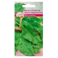 Seminte Macris cu frunza lata Sirocolistnii 1gr
