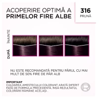 Casting Creme Gloss Краска для волос 316 Слива - thumbs image 6