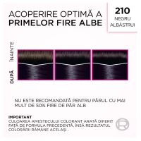 Casting Creme Gloss Vopsea de par 210 Negru Albastrui - thumbs image 6