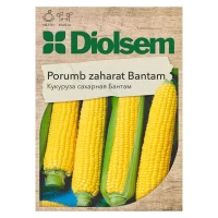 Семена Кукуруза сахарная "Бантам" Maxi 10г