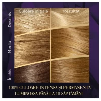 Wella Color Perfect Vopsea Blond Cenusiu Ultra Luminos 12/1 - thumbs image 4