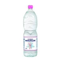Izvorul Minunilor Apa plata 2L
