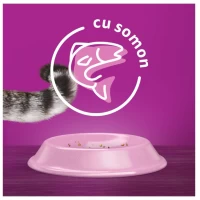 Whiskas Adult Hrana uscata Pisici Somon 1.4 kg - thumbs image 3
