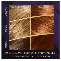 Wella Color Perfect Vopsea Blond Inchis Chihlimbar 6/74 - thumbs image 4