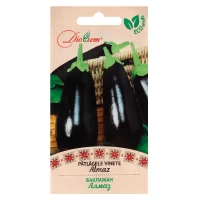 Seminte Patlagica vinata Almaz 3gr