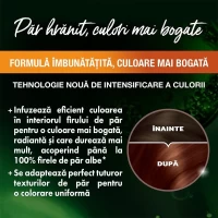 Garnier Color Naturals Vopsea de par 4.5 Saten Mahon - thumbs image 4