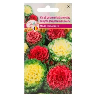 Seminte Varza ornamentala Amestec 1gr