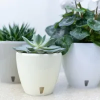 Горшок Deco 4 л прозрачный - thumbs image 2