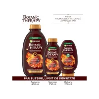 Garnier Botanic Шампунь 250мл Имбирь - thumbs image 2