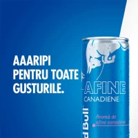 Red Bull Энергетический напиток голубика 250 мл - thumbs image 2