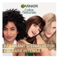 Garnier Color Naturals Vopsea de par 8.13 Blond Bej Deschis - thumbs image 6