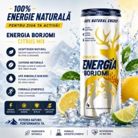Энергетический напиток Боржоми Energia Цитрус Микс в банке 240 мл - thumbs image 2