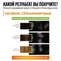 Стойкая краска для волос с аммиаком Garnier Color Naturals 2.10 Black Blue - thumbs image 2