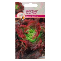 Семена листового салата "Чука" 1г