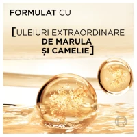 Шампунь L'Oreal Paris Elseve Extraordinary Oil для сухих волос, 250 мл - thumbs image 4