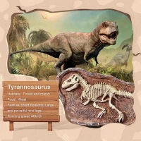 Mideer Setul micului arheolog Revelarea lui T-Rex - thumbs image 6