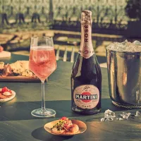 Martini Sparkling Rose Vin Spumant 0.75L - thumbs image 3