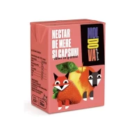 Moldova Gustoasa Nectar 0,2l mere si capsuni - thumbs image 1