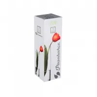 Vaza BOTANICA Cilindru 26,5 cm - thumbs image 2