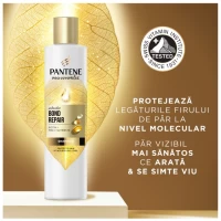Pantene Sampon Bond Repair 250 ml - thumbs image 2
