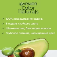 Garnier Color Naturals Vopsea de par 1 Negru - thumbs image 5